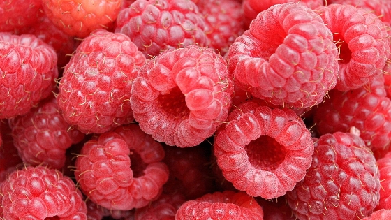 红树莓果实