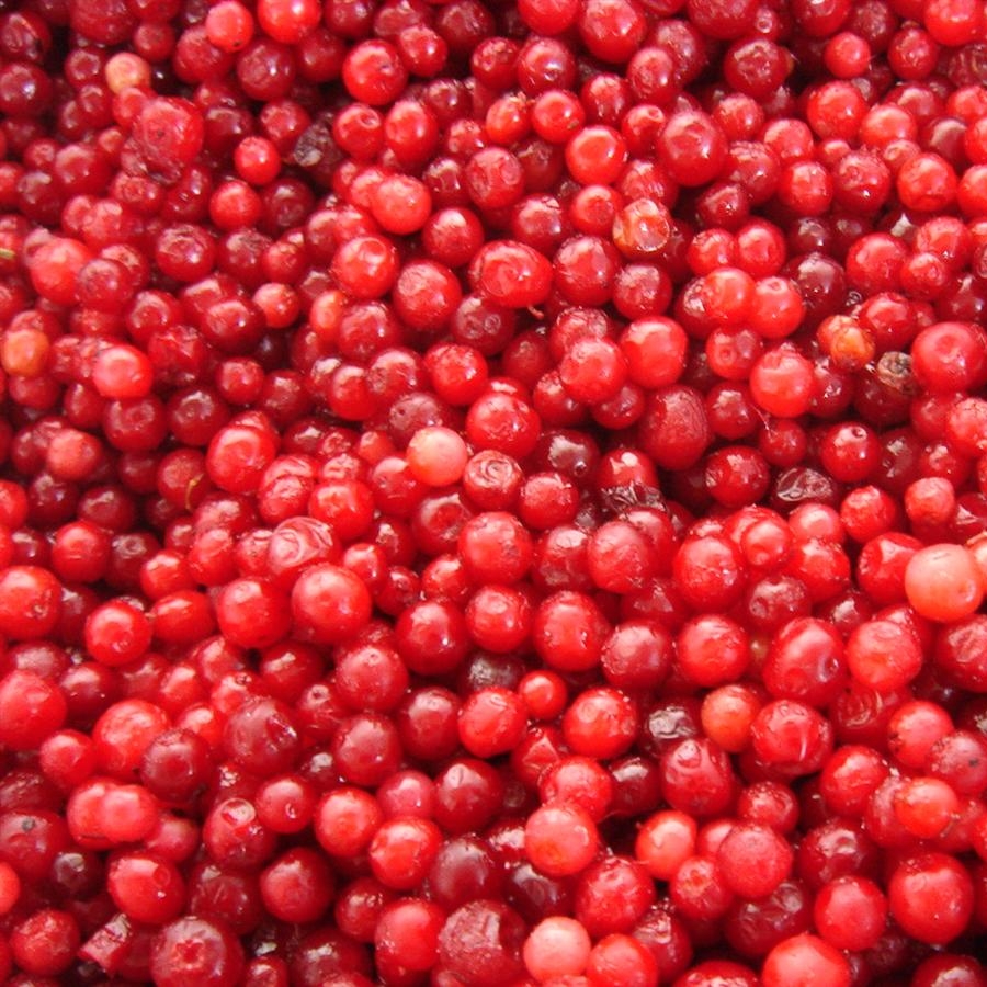 Lingonberries